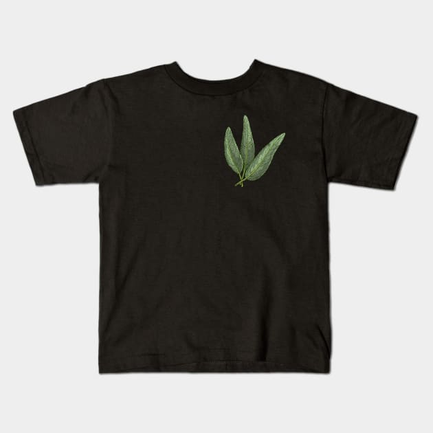 Sage Kitchen Herbs | Aromatic herbs Kids T-Shirt by gronly